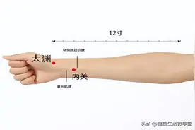 十二经络学习：手太阴肺经及肺经上的原穴、洛穴和输穴图片