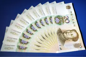 20元钱纸币有这个年份必定大涨，遇到的话就好好珍藏图片