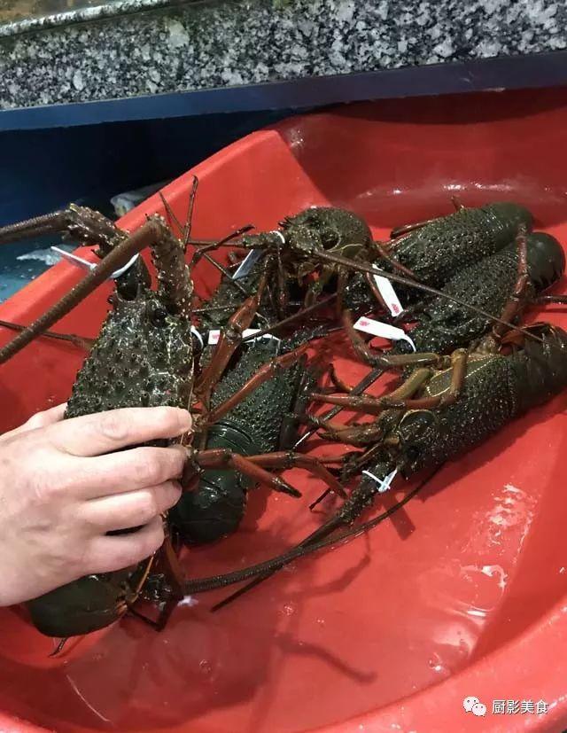 什么海鲜胶原蛋白最多 2025年海鲜含有胶原蛋白吗