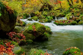 松际露微月，清光犹为君。一首唯美的山水隐逸诗，深得世人推崇图片