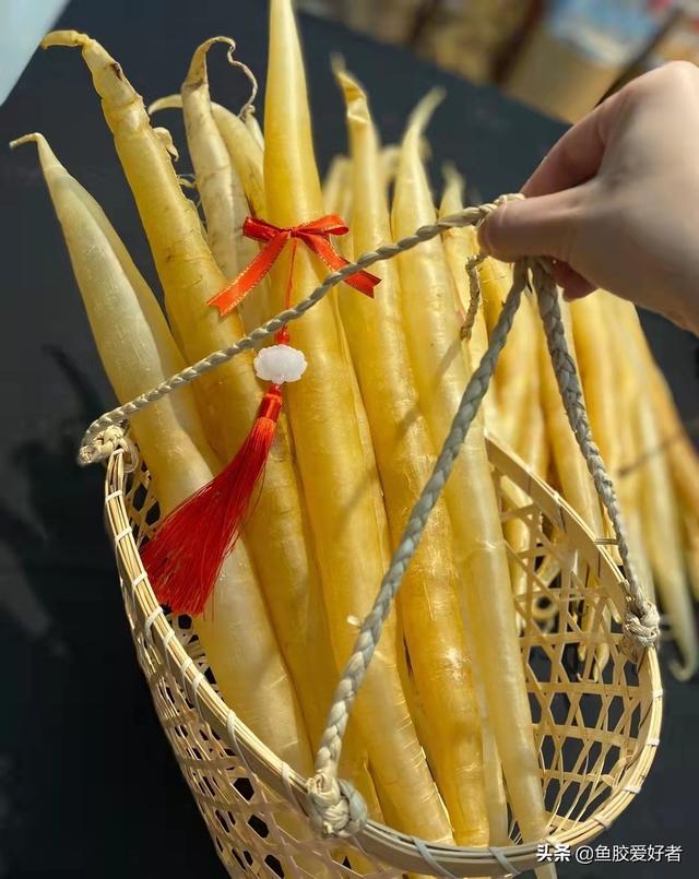 鳘鱼胶跟鳕鱼胶哪个好 鳕鱼胶大小区别