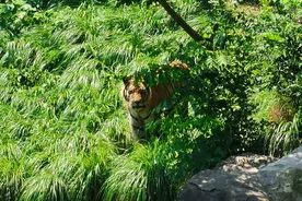 除了钓不到鱼，真的什么都能钓到，你都钓起来过哪些奇葩？图片
