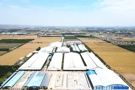 陕西建兴牧场：养牛不仅是为了挣钱，更是为了让养牛人体面地活着图片