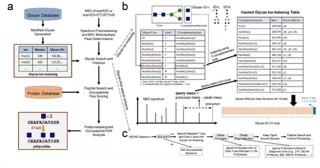 复旦上医11月科研成果一览
