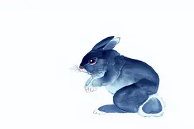 属兔生在几月，运气就是比别人好，下半年草木逢春，步步高升图片