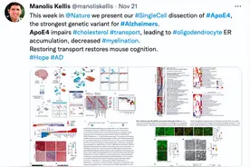 哪种人更易患老年痴呆？MIT团队揭示阿兹海默症背后的基因机制图片