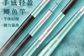 怎样选鲫鱼竿，文中定有你中意的一款图片