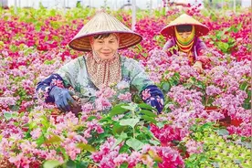 “世界长寿乡”临高：生态宜居 健康长寿图片