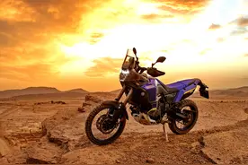 Yamaha XTZ700D World Raid 全球突击版图片