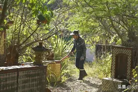 广东湛江籍老兵蔡德三在台湾孤独离世，长眠高雄市茂雄墓园，静待亲人祭拜图片