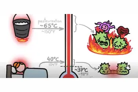 我们为什么会发烧？图片