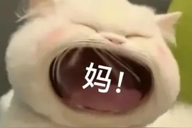 ｜表情包｜不为感情流泪 只为干饭夜不能寐图片