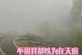 “那是雾气吗？那是大学生的怨气”，校园绝景，就问你怕不怕图片