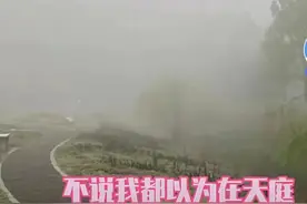 “那是雾气吗？那是大学生的怨气”，校园绝景，就问你怕不怕图片