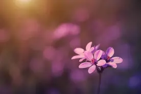 女人这么暗示你，不是讨厌你，而是想你了图片