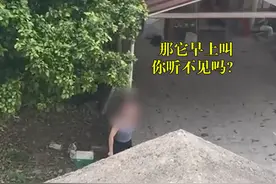 上海一女子在小区养鸡凌晨4点打鸣，邻居：每天叫到中午12点，叫了2个多月，周末想睡个懒觉都不行图片