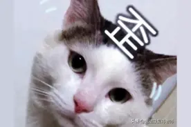 脖子歪啦？注意这可不啥可爱的歪头杀！（斜颈体态矫正科普指南）图片