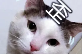脖子歪啦？注意这可不啥可爱的歪头杀！（斜颈体态矫正科普指南）图片
