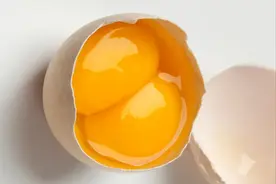 「蛋小秦」双黄蛋和单黄蛋哪个营养价值更高？图片