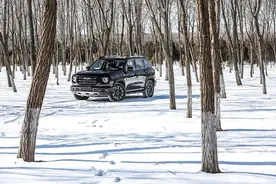 「首试」另一种选项 | 长城汽车 哈弗大狗图片