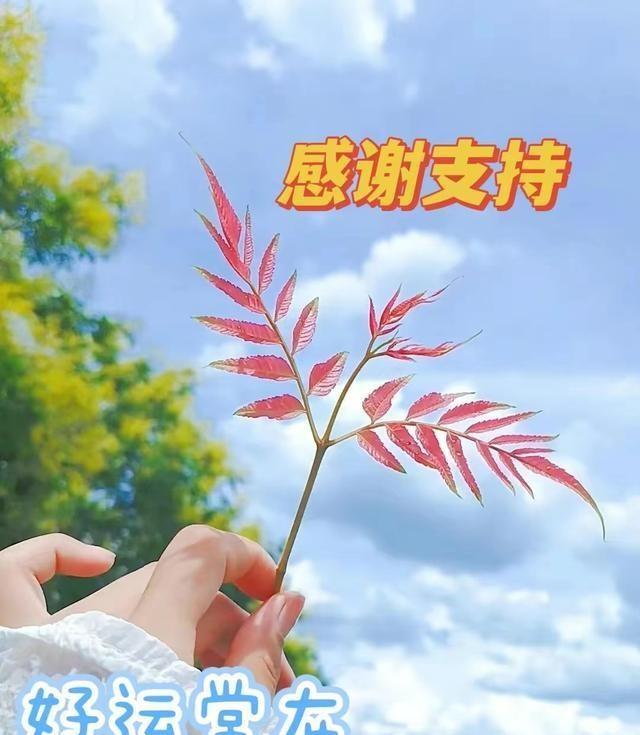 推荐：10部好看的“民国短剧”榜单，节奏短平快，超级下饭