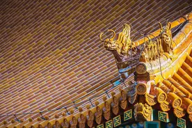 建造故宫使用的木材来自哪里？木材历经600多年，为何不会腐烂？图片