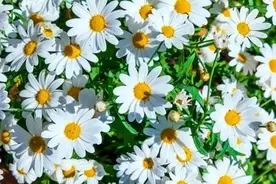 人这辈子，就这几个字！（非常在理）图片