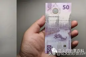 墨西哥新版50比索塑料钞，已提名2021年世界最佳纸币图片