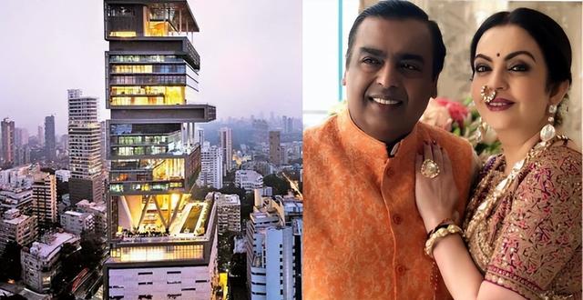 孟买 孟买猫_品学知识网