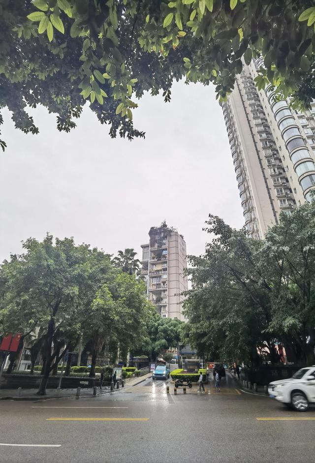 文章图片8