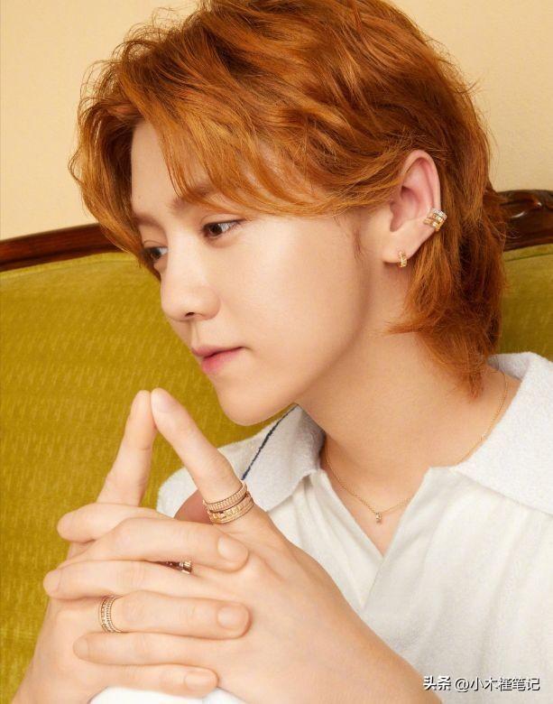 鹿晗中分长发造型翻车,面部阴柔被指像老嫂子,粉丝甩锅给修师