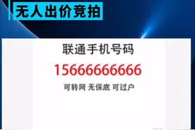中国最“顺利”手机号15666666666无人出价竞拍图片