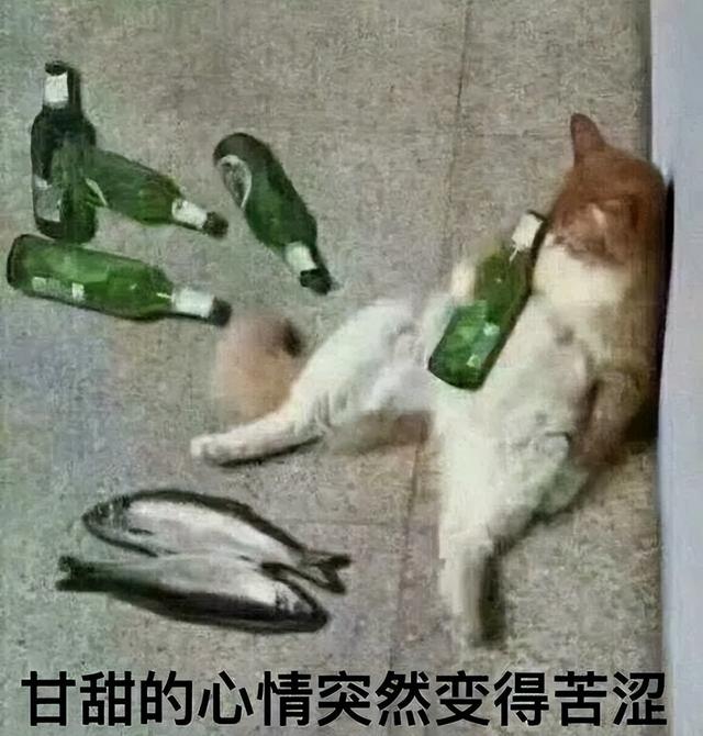 微信没用的新功能，又增加了