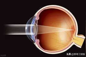 28条社会的本质和真相图片