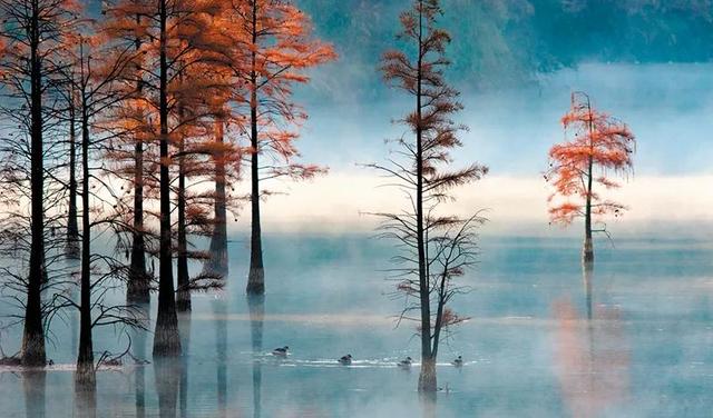 崀山:丹霞之魂,浪漫田园 | 摄影训练营图赏