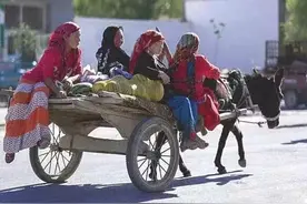 淡出视线的毛驴车图片