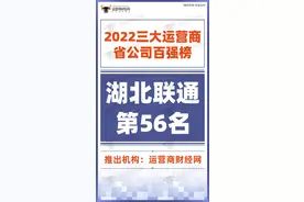 湖北联通发展势头良好 位列“2022三大运营商省公司百强榜”第56名图片