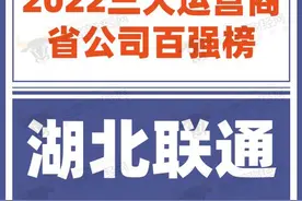 湖北联通发展势头良好 位列“2022三大运营商省公司百强榜”第56名图片