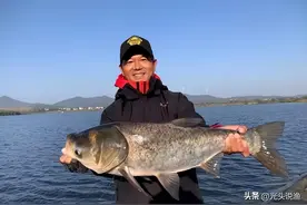 因“盘老板”而出圈的邓刚，进入低迷期，泰国之旅能否再续辉煌？图片
