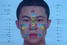 人体全息图，哪里不适按哪里（留着备用）图片