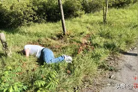 醉汉昏倒荒郊 十堰民警及时救助图片