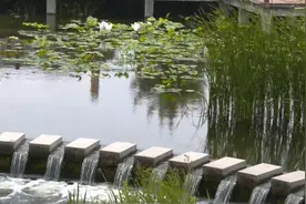 人工湿地：为河道添加生态屏障图片