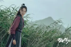 《雪中悍刀行》第二十八讲：徐凤年大杀幽州图片