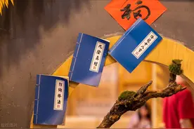 葵花宝典图片
