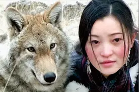 李薇漪：12年前卖房为带野狼回家，10年后“母子”在草原相认图片