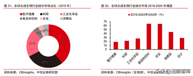 颠覆传统，合成生物：迎来历史发展机遇，乘势而起，引领未来