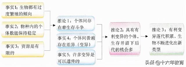 高中生物重要生化知识图解记忆（建议收藏）