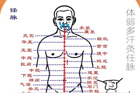 玫子科普：奇经八脉，任脉——生命孕育的源泉图片