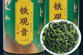 被舆论埋没了的好茶-铁观音图片