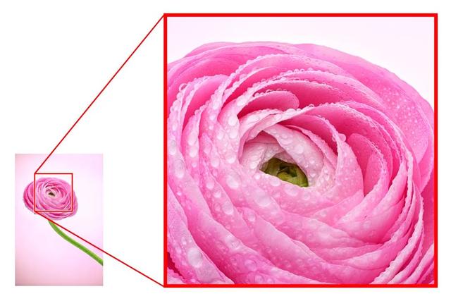 尼康Z8相机升级全新3.00固件：大幅提升自动对焦性能